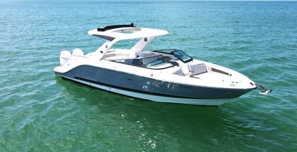 31' Sea Ray 2020 Yacht For Sale